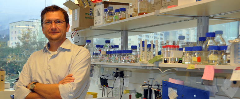 Assoz. Prof. Dr. David Teis leitet an der Sektion für Zellbiologie des Biozentrums das ‚Membrane Traffic and Signaling’ Labor. David_Teis_2.jpg