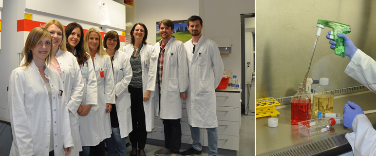 Forschen zur Insulinresistenz: Prof.in Susanne Kaser (3.v.r.) und ihr Team vom CD-Labor. NEWS_CD_Verlaengerung.jpg