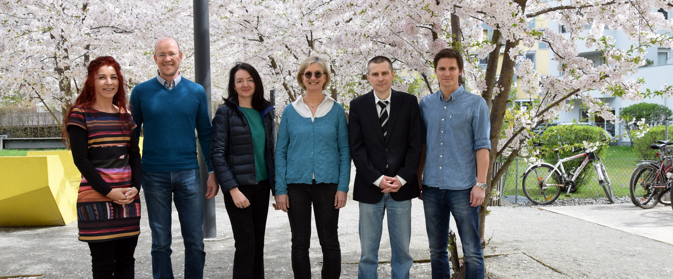 v.l.: Sandra Santos Sierra, Meinrad Drexel, Alexandra Lusser, Gabriele Baier-Bitterlich, Sergiy Pereverzyev und Fabio Gsaller. NEWS_FWF_Maerz2018_1.jpg