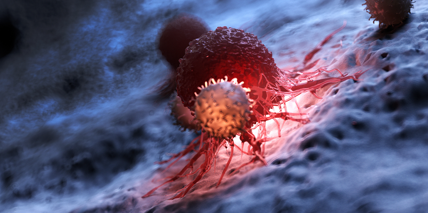 BU: Lymphozyt (weiß) und Krebszelle. © AdobeStock_SciePro NEWS_lymphozyt_Cancercell.jpg