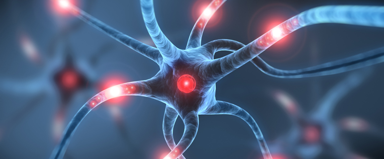 Neuronale Zellen (Fotocredit: psdesign1, Fotolia.com) Neuronale Zellen (Fotocredit: psdesign1, Fotolia.com)