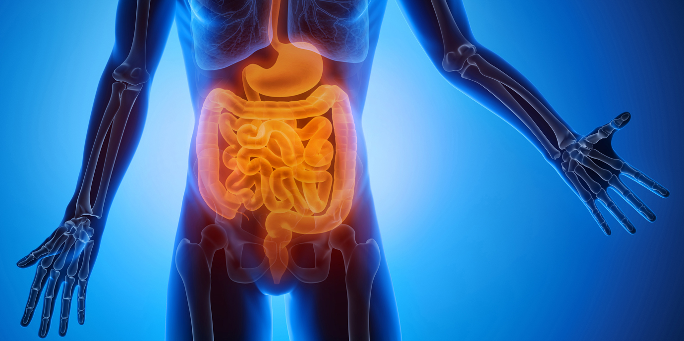 SARS-CoV-2  Verdauung: „Covid-19 ist eine entzündliche Erkrankung, die den Organismus überfährt“