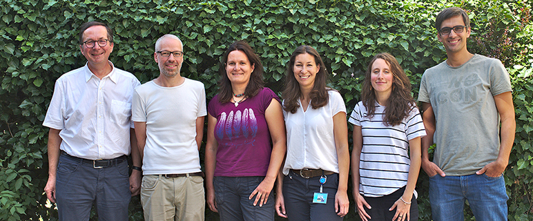 Neuer Zusammenhang: Anzahl der Mitochondrien korreliert mit Infektionsrisiko