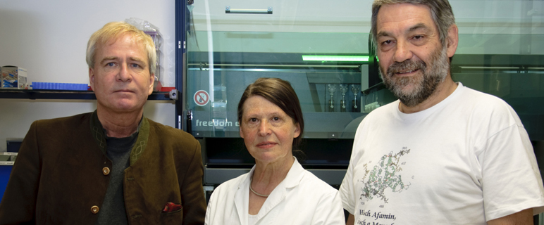 v. li nach re: Prof. Bernhard Rupp, Projektmitarbeiterin Linda Fineder (BMA), Prof. Hans Dieplinger.
v. li nach re: Prof. Bernhard Rupp, Projektmitarbeiterin Linda Fineder (BMA), Prof. Hans Dieplinger.