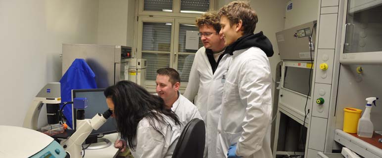 Prof.in Anneliese Schrott-Fischer mit ihren Mitarbeitern Mag. Christian Pritz, Dr. Rudolf Glückert und Dr. Jószef Dudás (v. l.) Nanoear-Team vom Forschungslabor für Innenohrbiologie der Innsbrucker HNO-Klinik