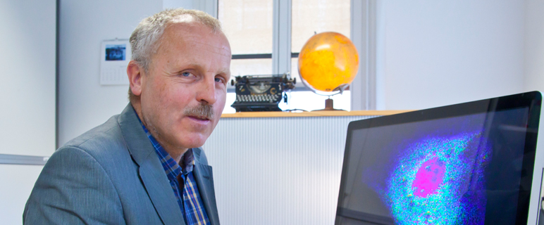 Checkpoint Cbl-b: Kontrollpunkt in der Immunantwort eröffnet neue Horizonte in der Krebsimmuntherapie