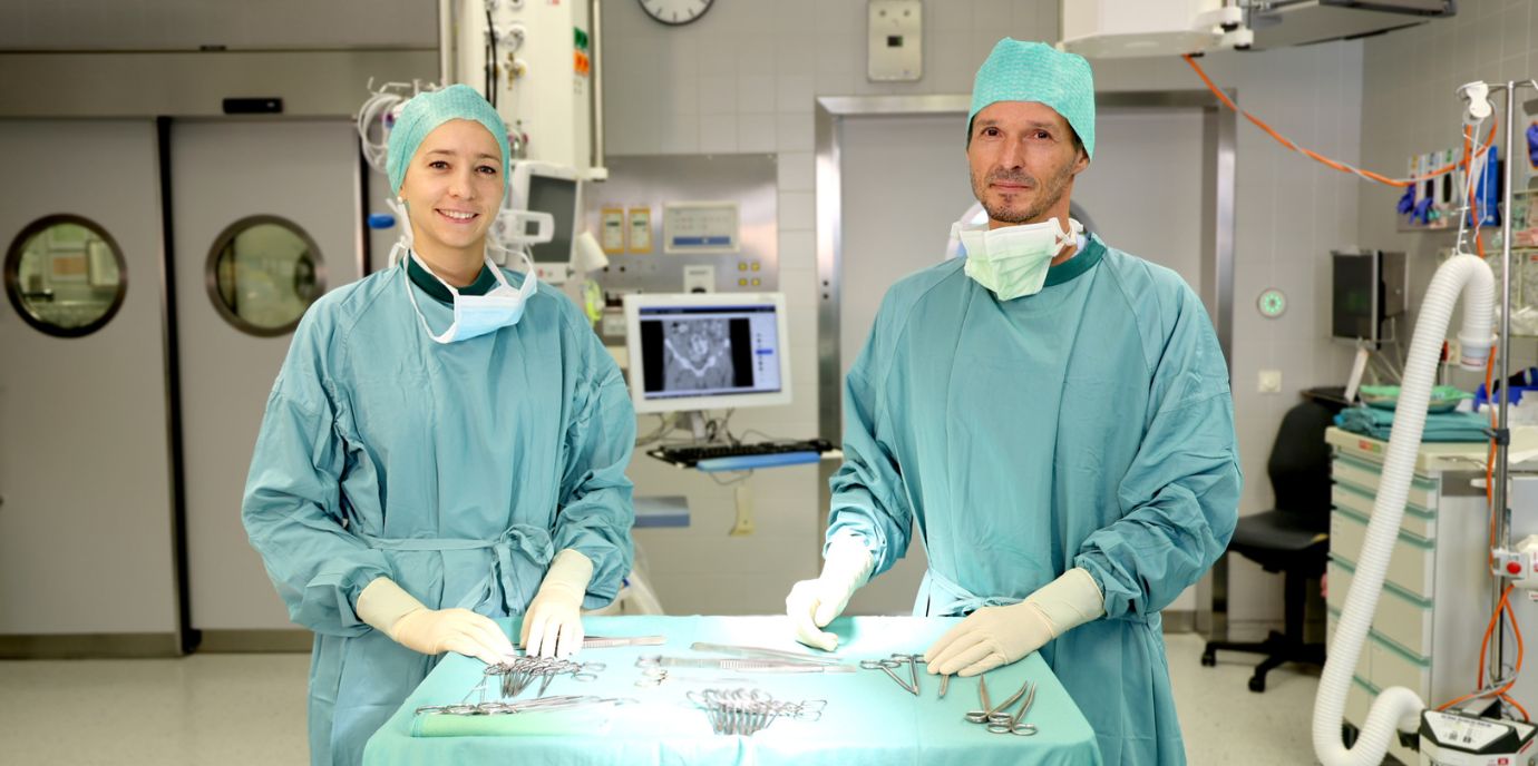 „Zell-Antenne“ ist wichtig bei Lebertransplantation