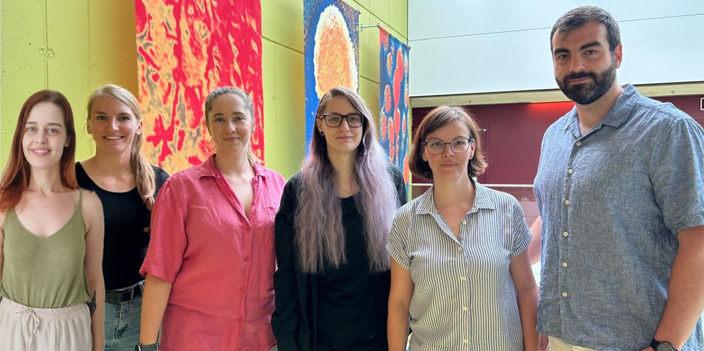 ExonSurfer: Innovatives Web-Tool für die Molekularbiologie ist startklar