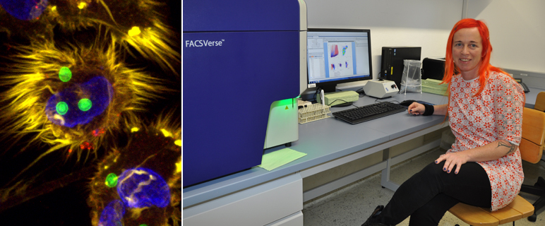 Junge Forscher:innen an der Medizinischen Universität Innsbruck: Doris Wilflingseder