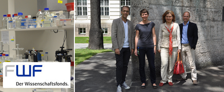 FWF fördert vier neue Projekte an der Medizinischen Universität Innsbruck