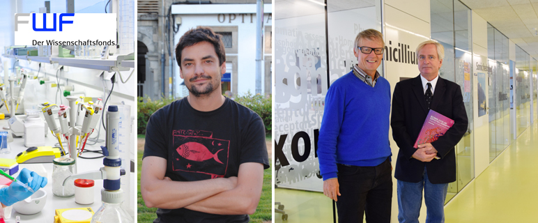 Vier neue FWF-Projekte an der Medizinischen Universität Innsbruck