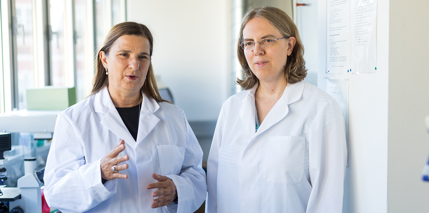 „Mischimpfung verstärkt die Immunantwort“