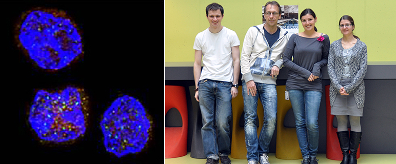 Kooperative Forschung unter einem D-A-CH: Innovativen Krebstherapien auf der Spur