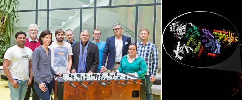 Tiroler Gipfelsieg: SCIENCE berichtet über Innsbrucker Forschungsarbeit zu  krebsrelevantem Proteinkomplex