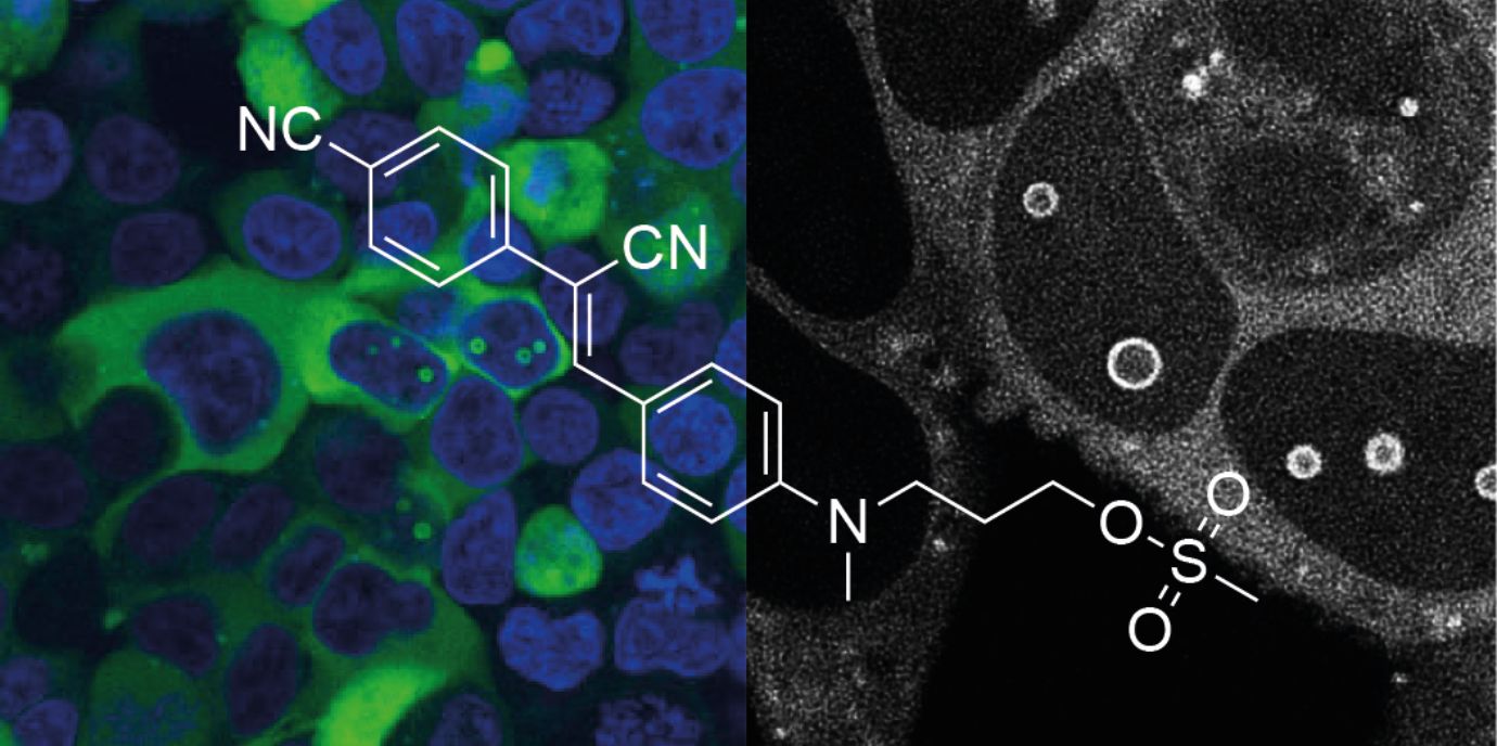 Neue Chemie für maßgeschneiderte RNA-Komplexe