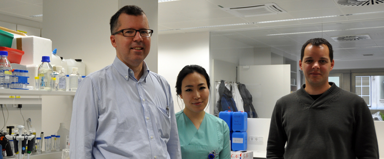 Prostatakarzinomtherapie: Vom Tyrosinkinase- zum Androgenrezeptor-Inhibitor