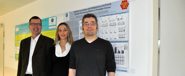 SOCS2 - ein potentielles neues Targetprotein im Prostatakarzinom