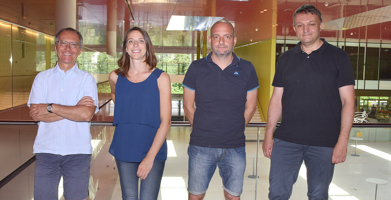 Immuntherapie, Next-Generation Sequencing und Bioinformatik – Zusammenhang mit optimierbarem Mehrwert