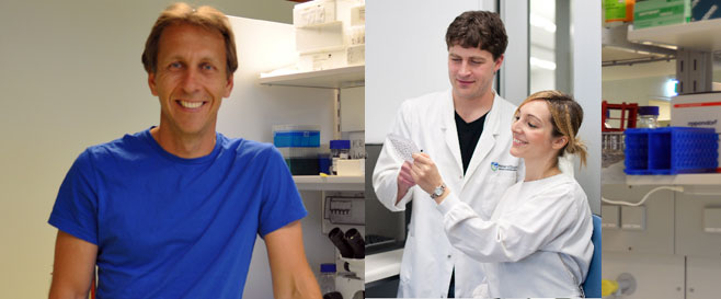 A1/Bfl-1 – ein wichtiger Überlebensfaktor für Immunzellen