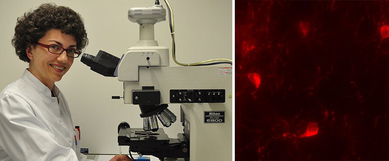 Junge Forscher:innen an der Medizinischen Universität Innsbruck:  Nadia Stefanova