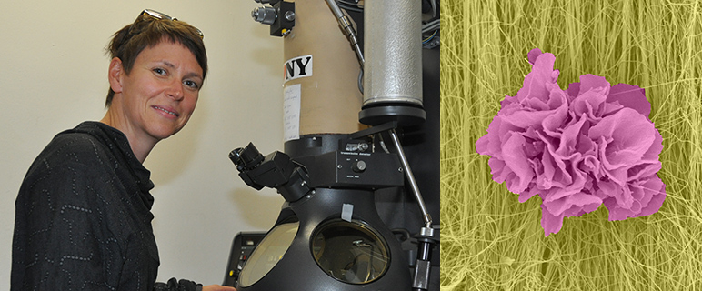 Junge Forscher:innen an der Medizinischen Universität Innsbruck:  Patrizia Stoitzner