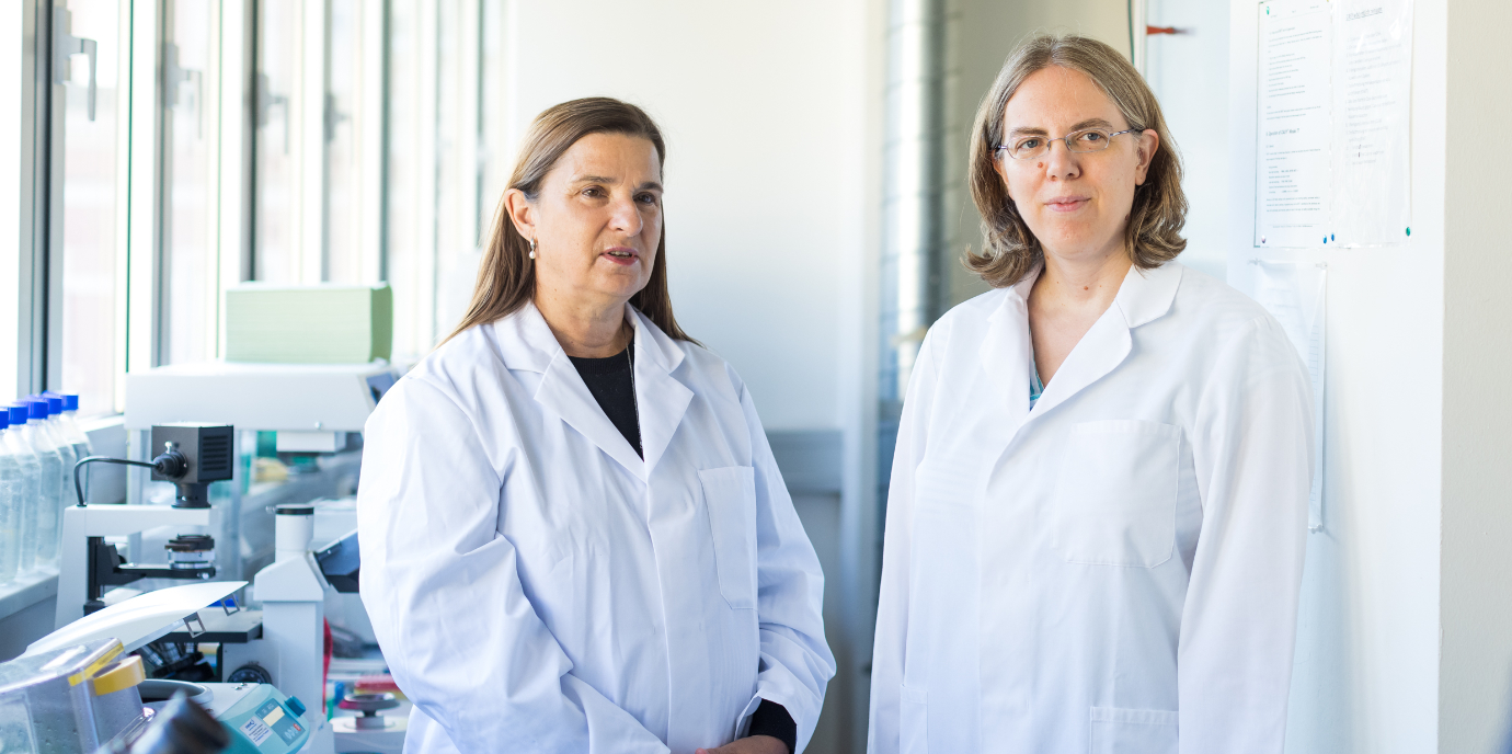 Wie effizient ist eine Kreuzimpfung aus Vektorimpfstoff und mRNA-Vakzin?