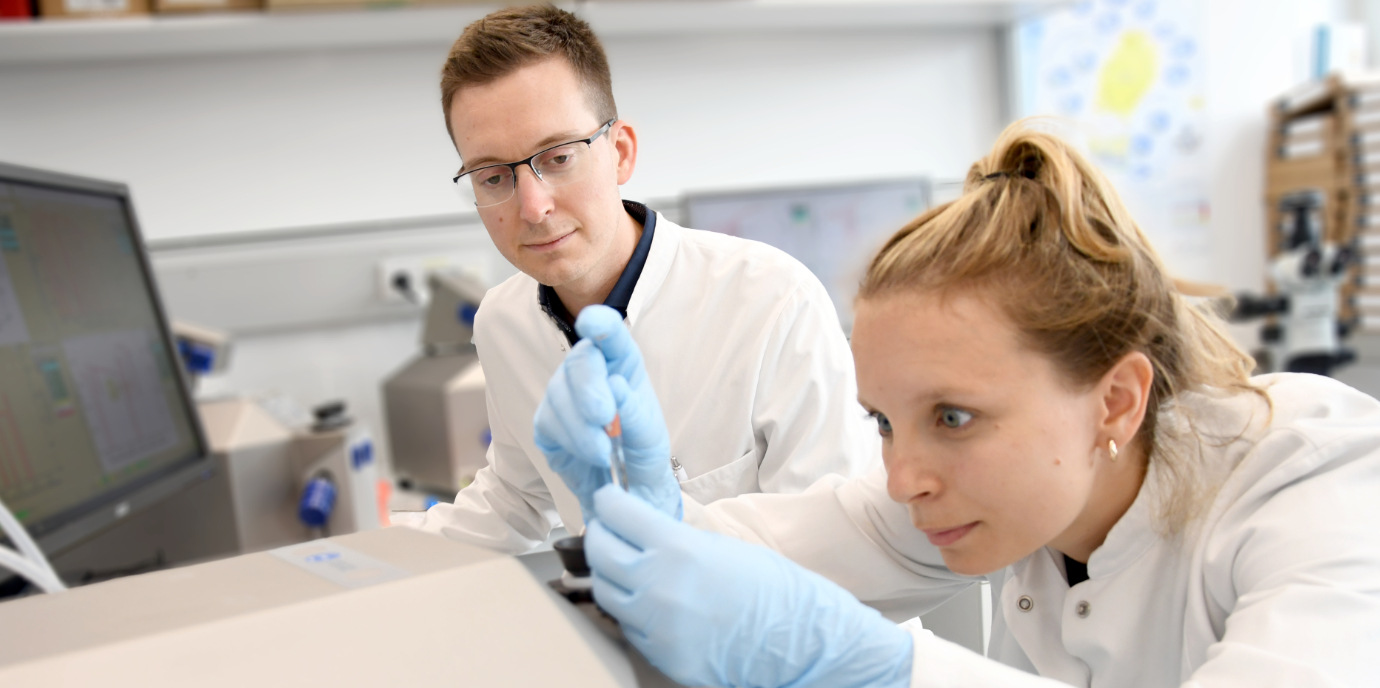 Zellatmung als Marker für Qualität von Spenderlebern