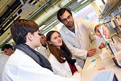 An verschiedenen Stationen bekommen SchülerInnen Einblicke in die Laborarbeit. Open Labs 2016