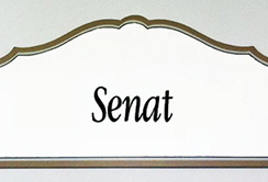 Symbol_Senat.jpg