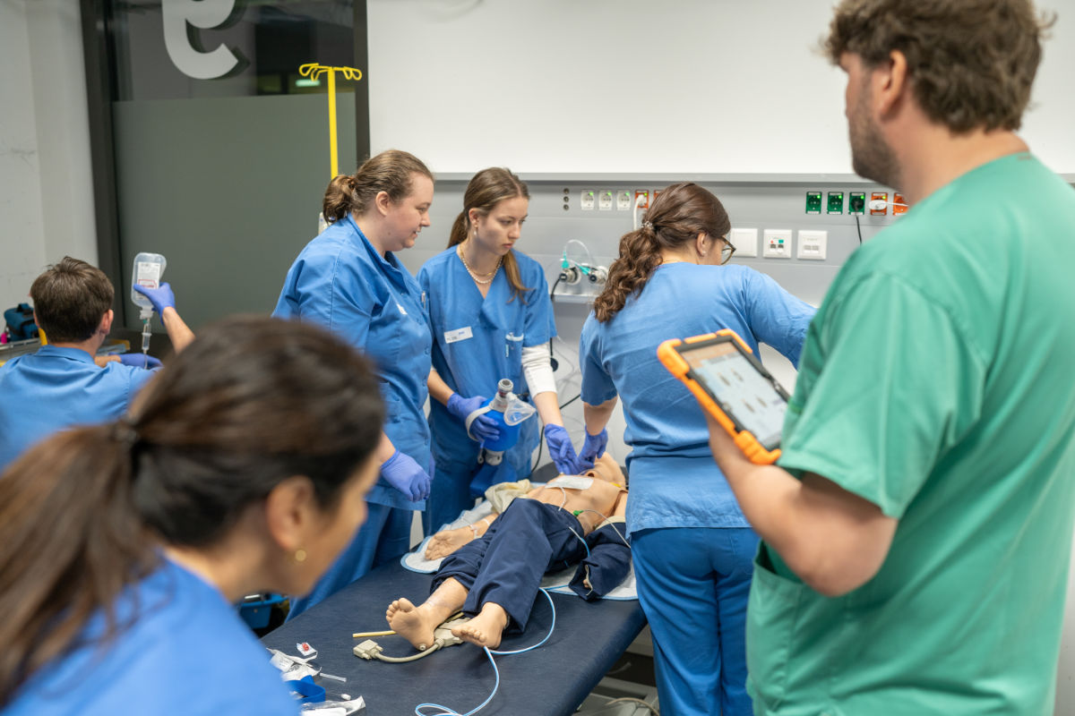 Die Studierenden Nach einer theoretischen Einführung werden zwei Vormittage lang in gemischten Gruppen Basics geübt. Es folgen Fallbeispiele, die gemeinsam durchgespielt werden. (Bildquelle: fh gesundheit)