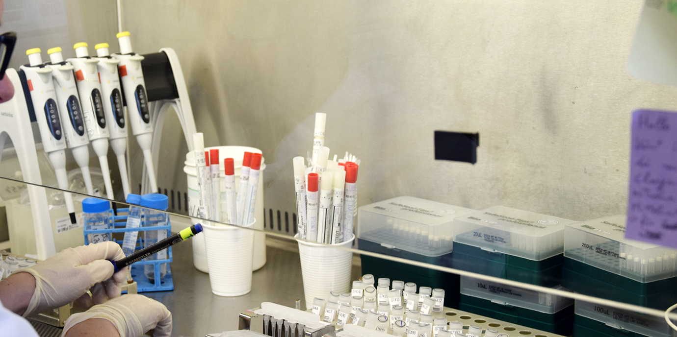 Coronavirus - Immunantwort der Ischgler Bevölkerung wird abermals getestet