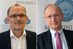 Weltweit meistzitiert