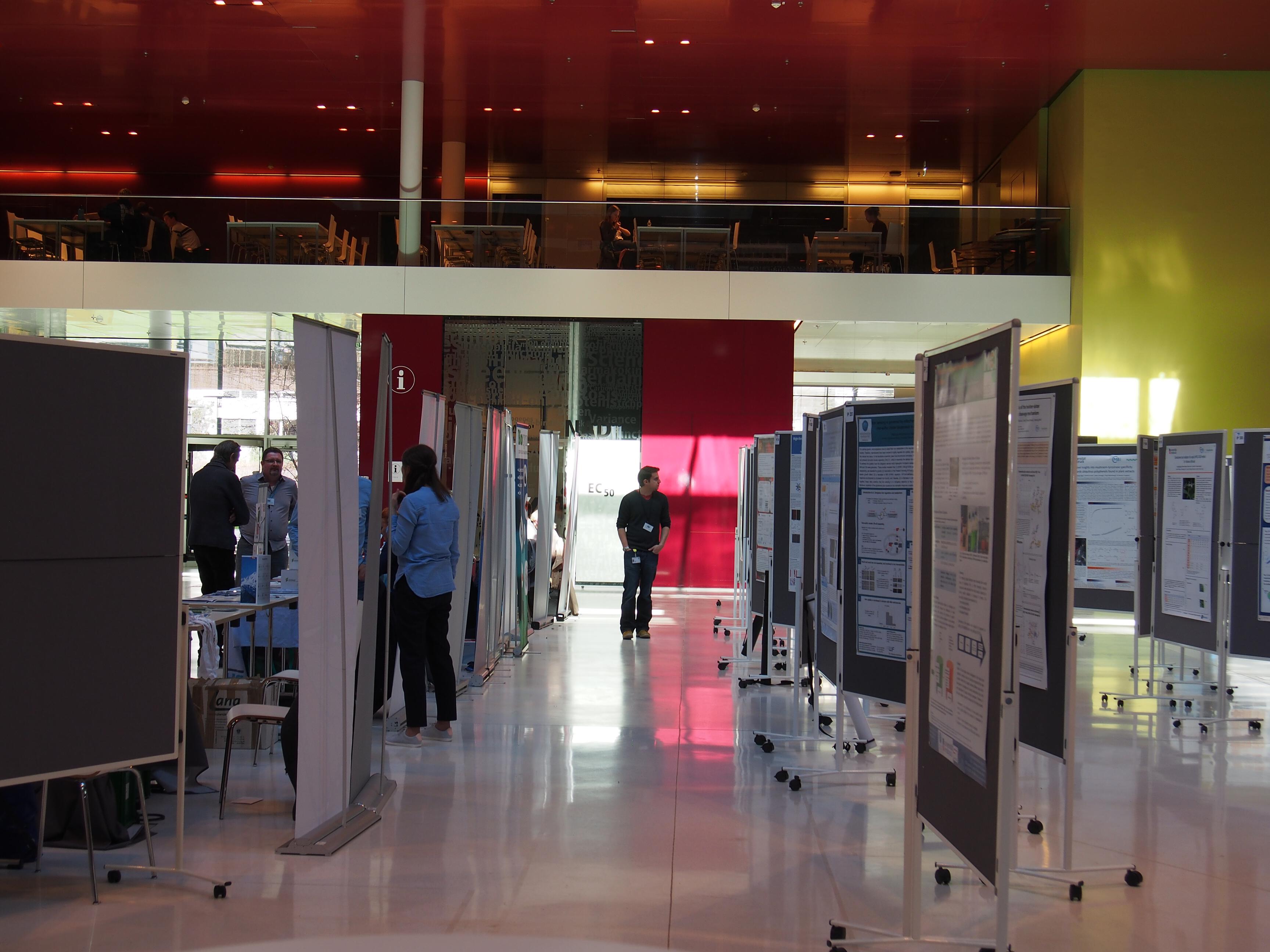 LifeSciencePhDMeetingInnsbruck2018_-(23)