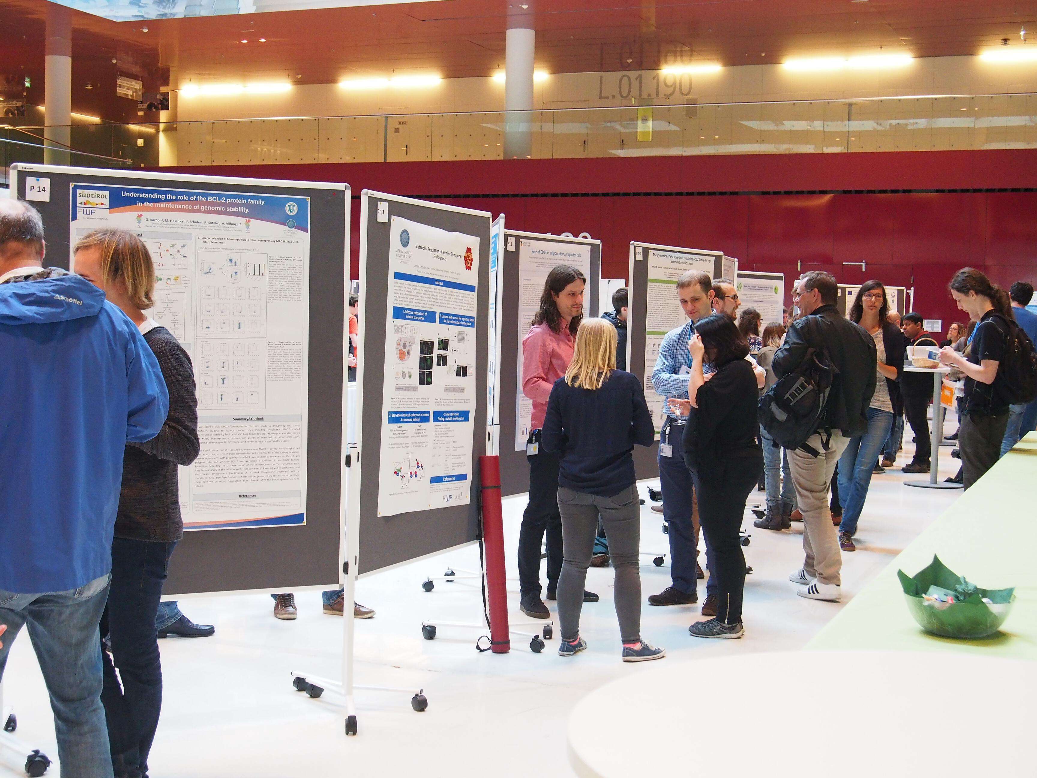 LifeSciencePhDMeetingInnsbruck2018_-(29)