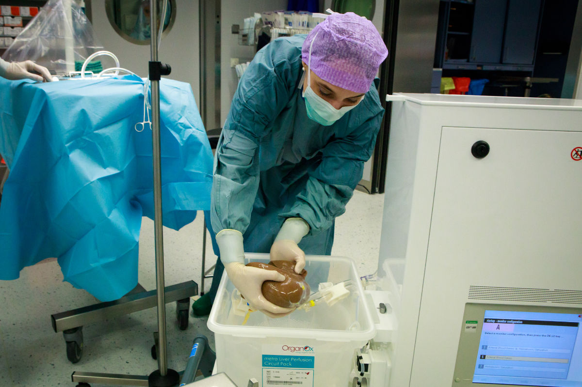 Die normotherme Maschinenperfusion ermöglicht eine optimale Versorgung und Überprüfung des Spenderorgans, Bild: MUI/F. Lechner