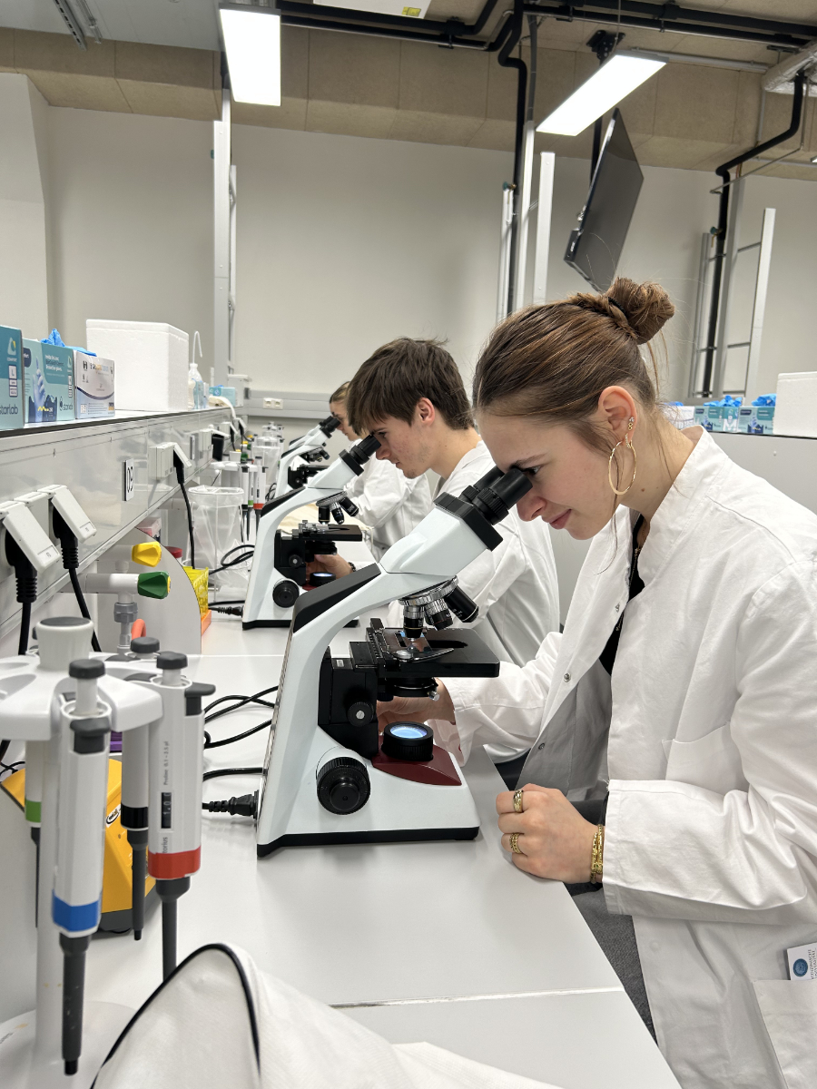 Bei den Open Lab Days bekommen Schüler:innen Einblicke in das Studium Molekulare Medizin