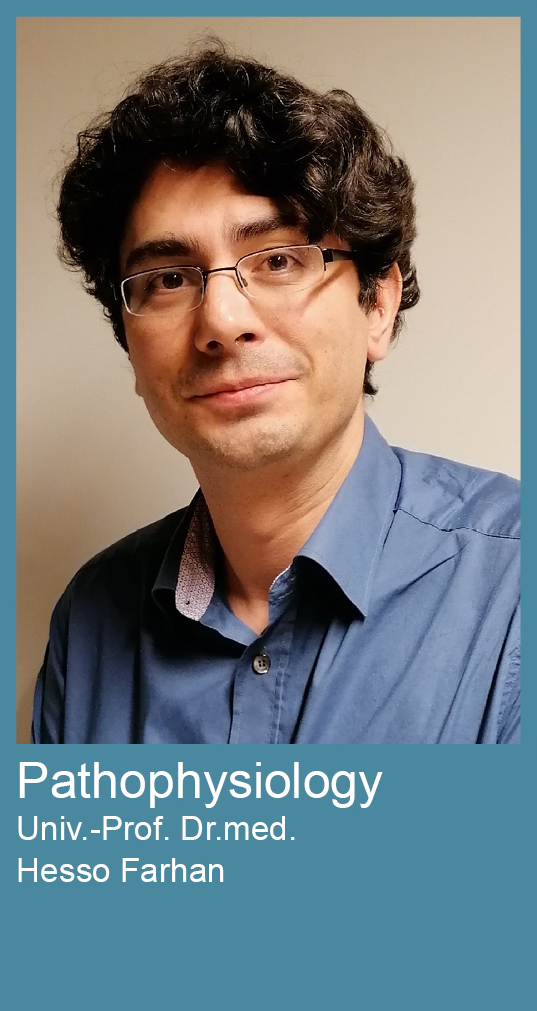 Institute of Pathophysiology